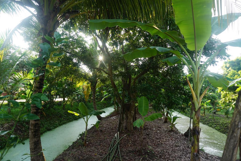 Meephawa Resort Amphawa Eksteriør bilde